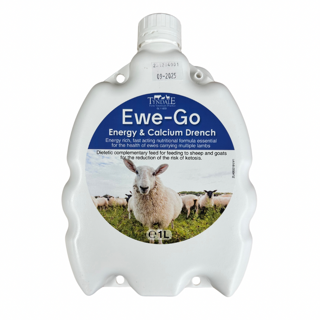 Ewe-Go