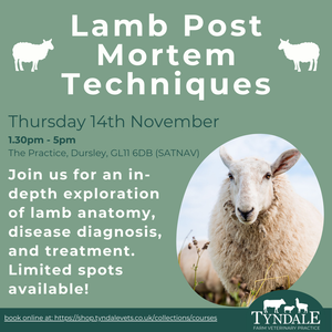 Lamb Post-Mortem Course