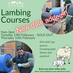 Lambing Courses