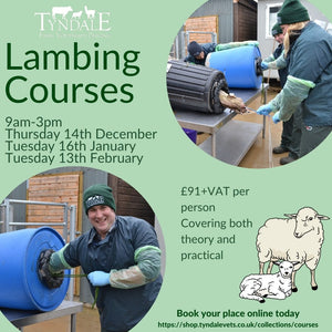 Lambing Courses