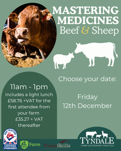 Mastering Medicines - Beef & Sheep