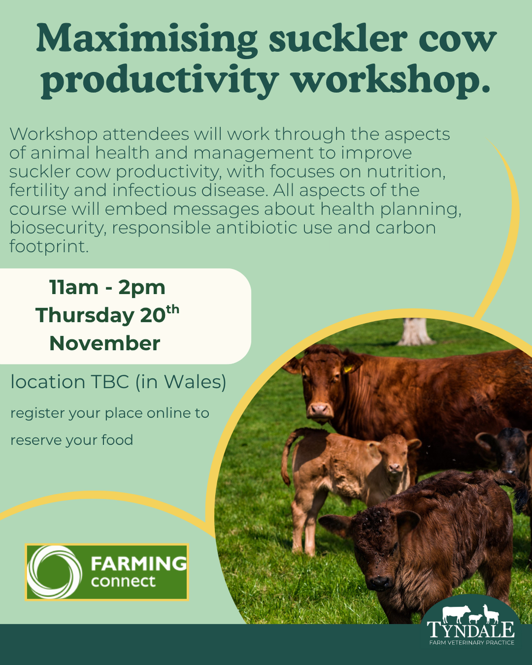 Maximising suckler cow productivity workshop